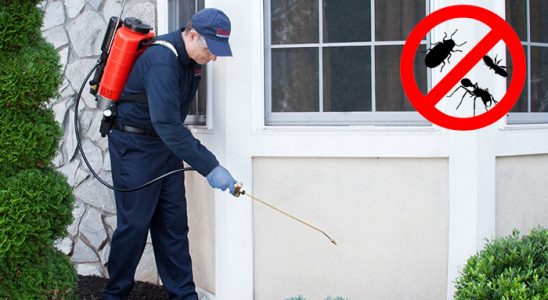 Pazarcık Bit İlaçlama böcek ilaçlama ve haşere kontrolü — ilaclama-tr.com